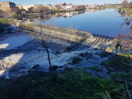 La borrasca Juan hace que Arroyo de la Luz rebose agua