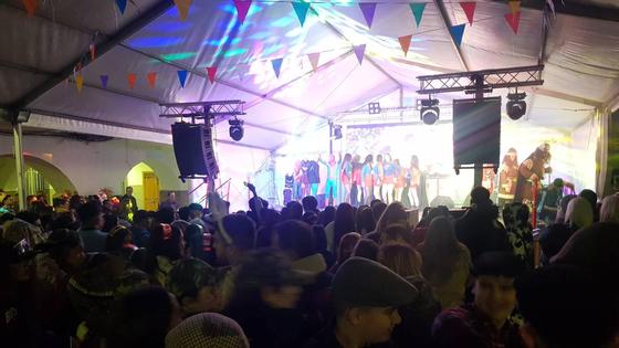 42 comparsas adultas y 19 infantiles llenaron de color las calles arroyanas