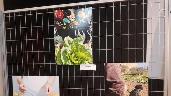 Entregados los premios del IX Concurso Fotográfico de las Coles con Buche