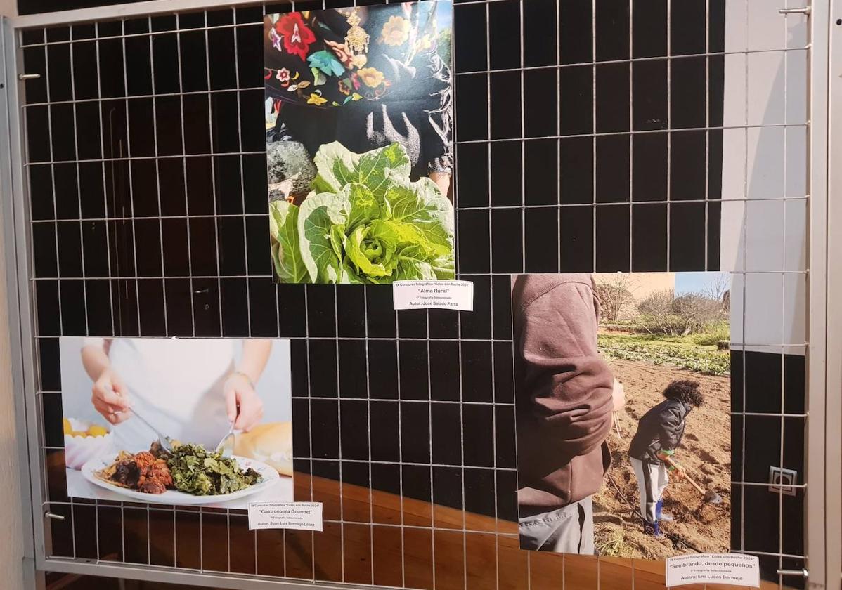 Fotografías ganadoras.