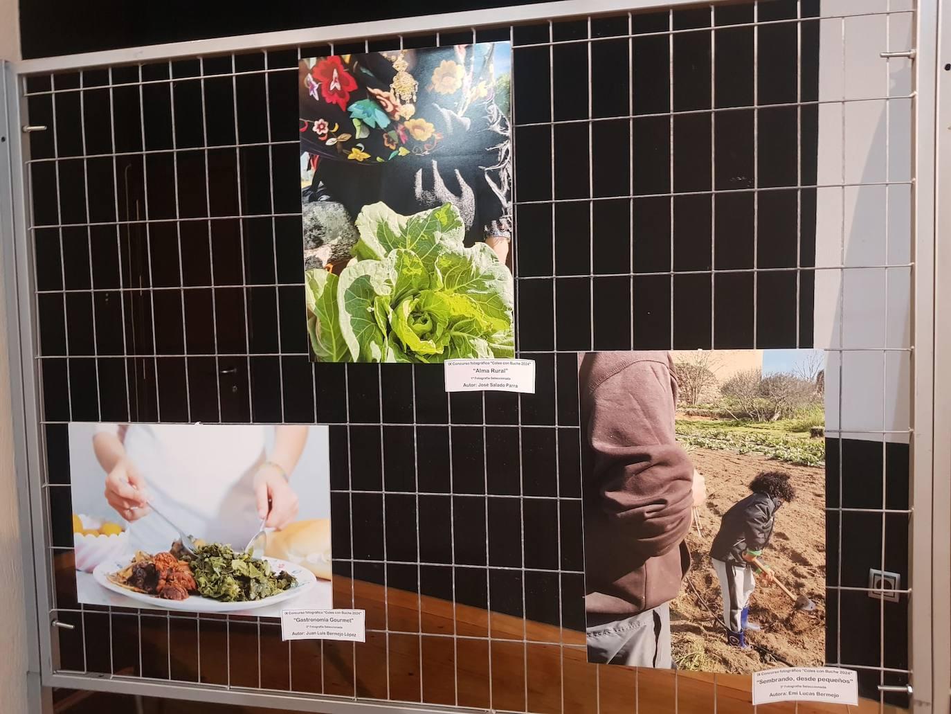 XX Fiesta Gastronómica Coles con Buche