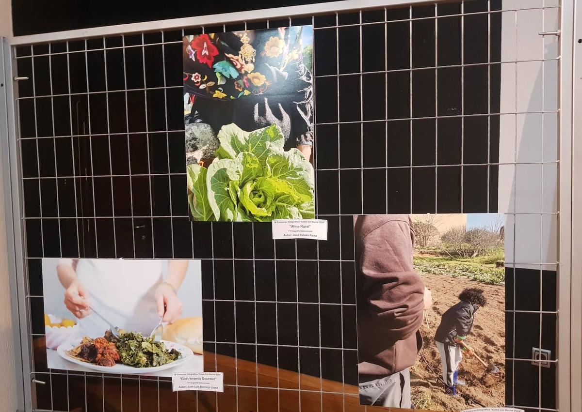 Imagen secundaria 1 - Fotografías ganadoras.