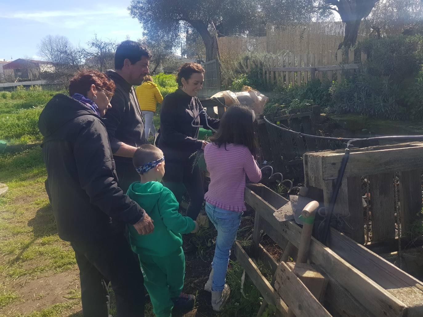 XX Fiesta Gastronómica Coles con Buche