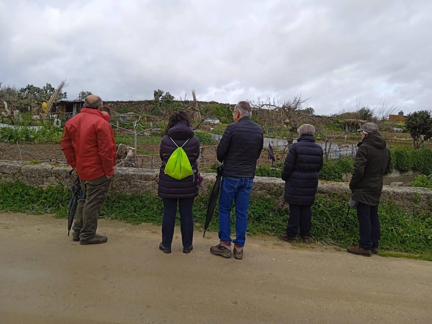 XX Fiesta Gastronómica Coles con Buche