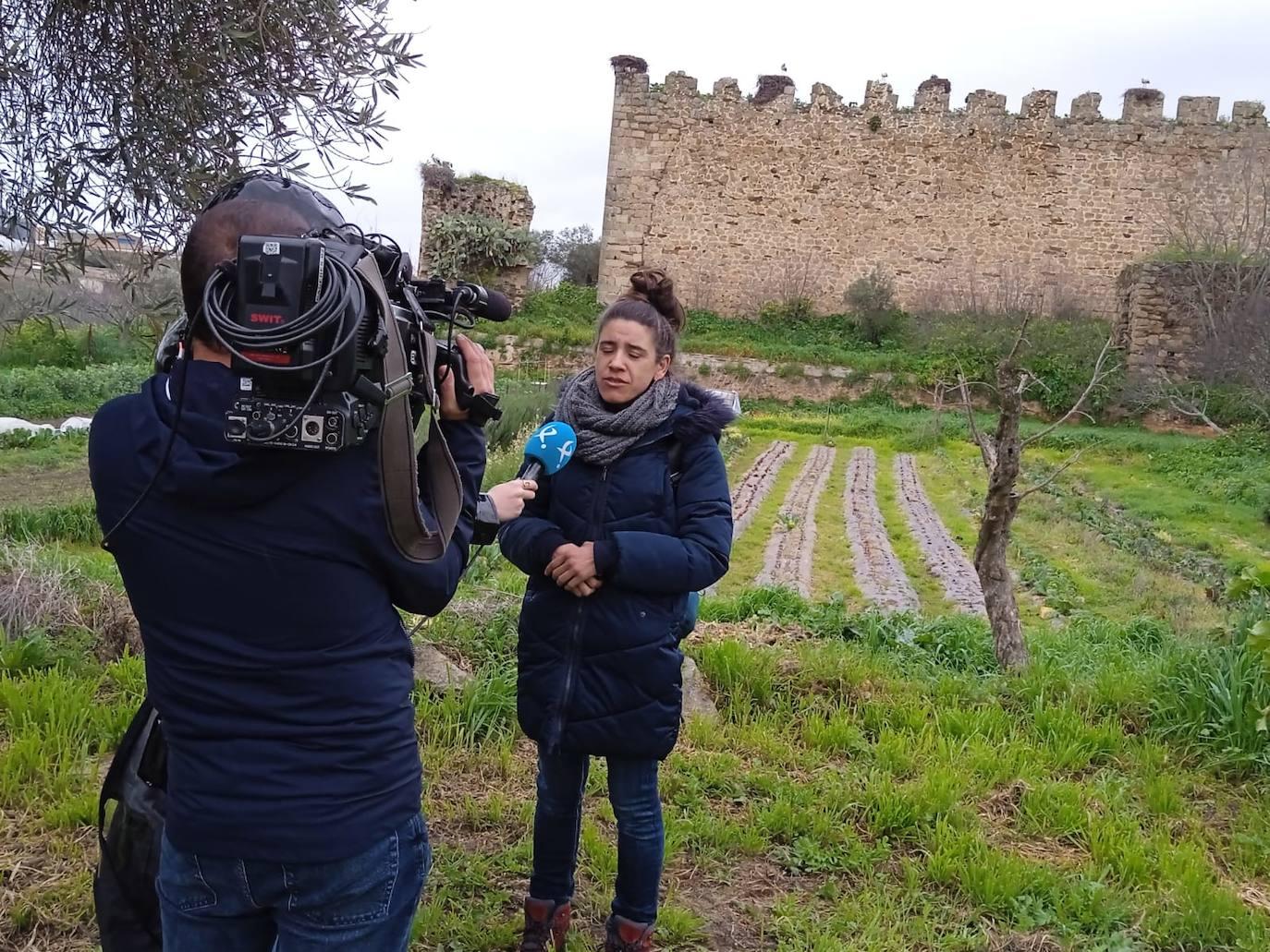 XX Fiesta Gastronómica Coles con Buche