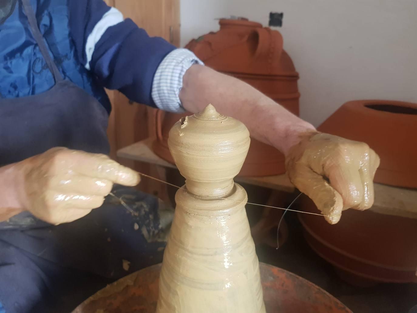 XX Fiesta Gastronómica Coles con Buche