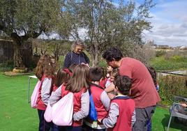 Uno de los grupos que han visitado la Huerta La Mangurria.