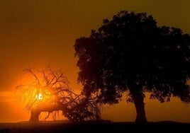 Primer premio de la pasada edición. Fotografía de Juan Luis Bermejo López.