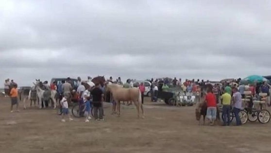 La Charca Grande acogerá la Feria de Ganado de Arroyo de la Luz