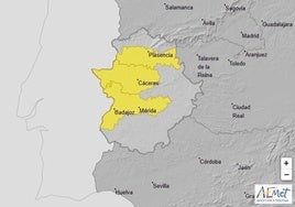 Avisos por niebla activos para el 19 de noviembre.