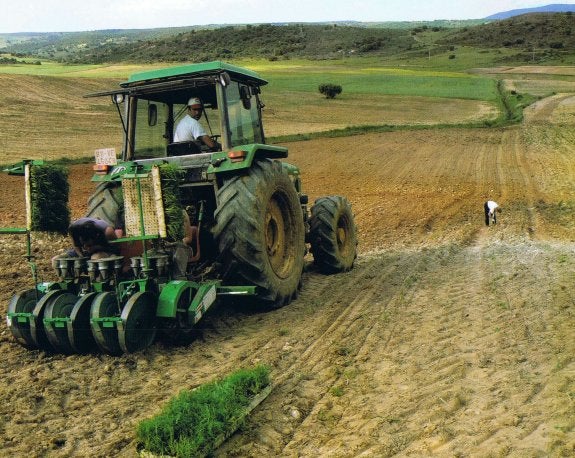 Piden a la Junta crear un comité de cooperativismo en la Ley Agraria de la región