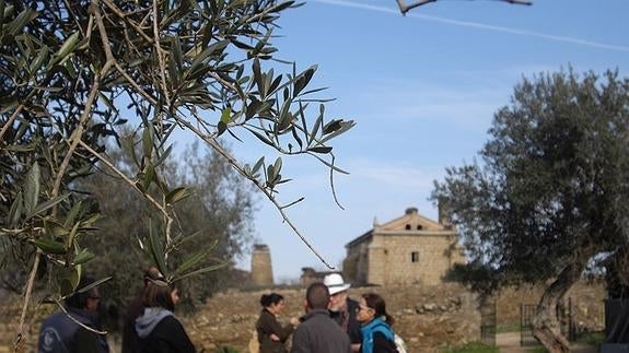 Visita guiada en Arroyo de la Luz. 