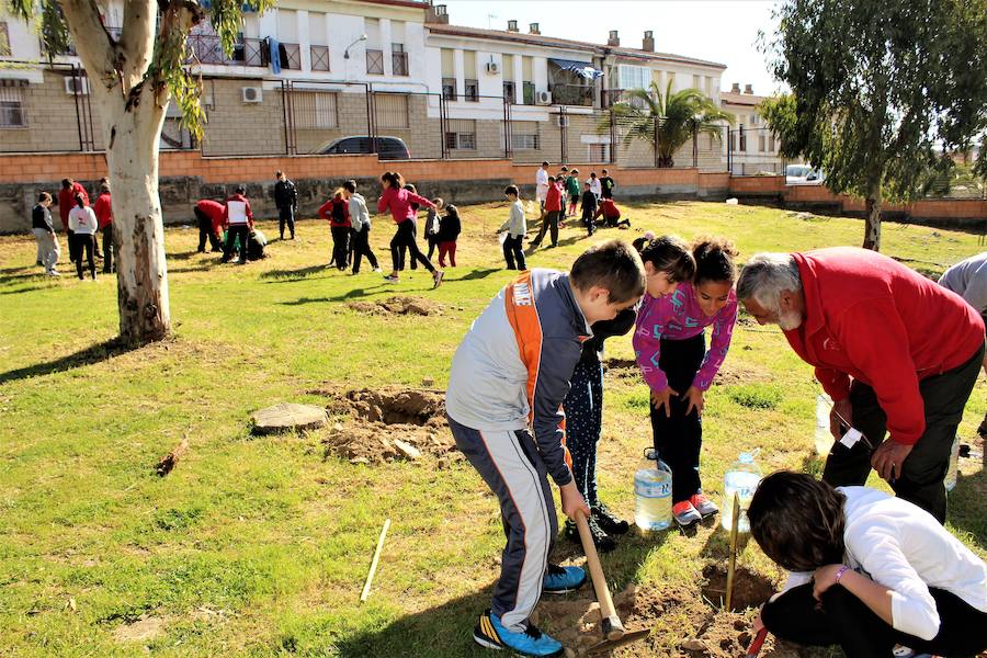 En la reforestación del colegio. 