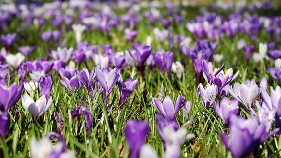 La primavera llega con frio
