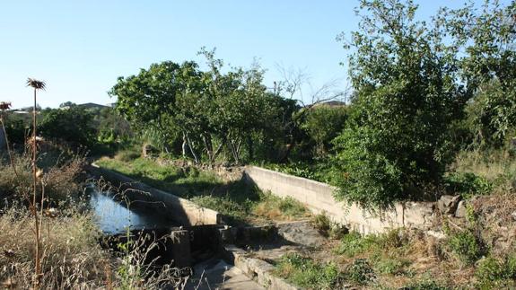 Ribera de Huertas Arroyo de la Luz 