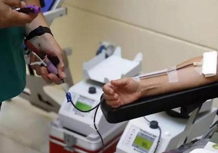 El Banco de Sangre obtuvo 116 donaciones en Calamonte