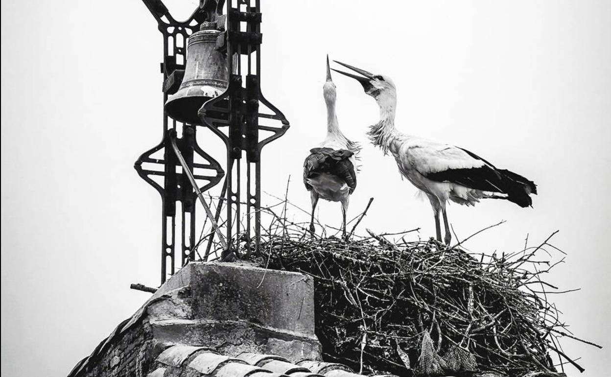 Fotografía ganadora en el concurso del pasado año. 