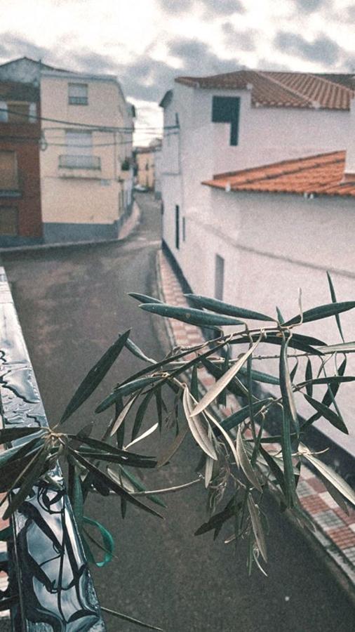 Fotos: Campanario desde la ventana