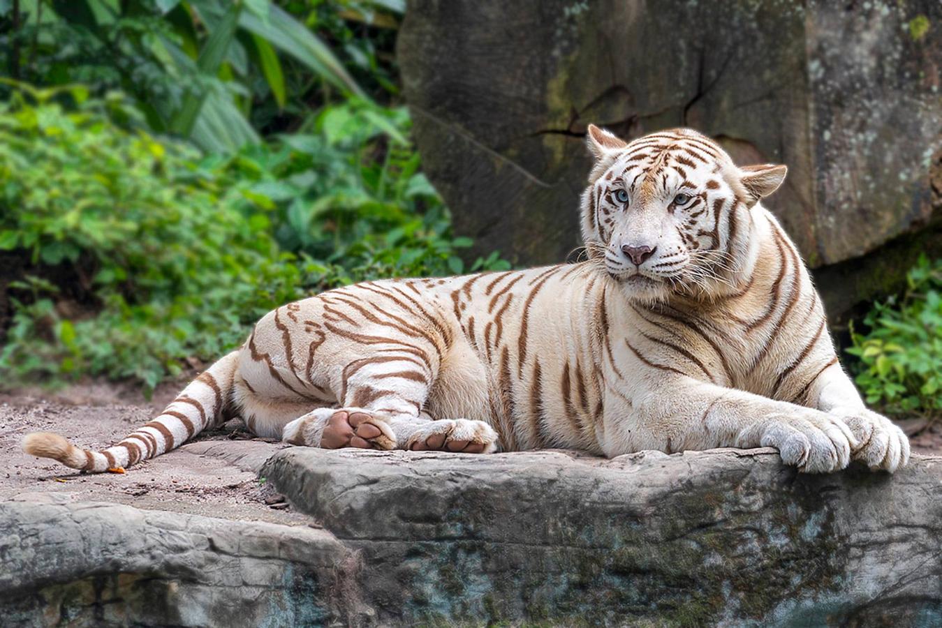 Han sido muchas las fotografías que han capturado momentos divertidos, entrañables, espectaculares y curiosos de nuestros animales. Salvajes o domésticos, han estado en el punto de mira de muchos aficionados a la fotografía y amantes de los animales. Ellos que han querido compartir esos momentos en las redes sociales, y optar al calendario de SOS Animales Campanario. Aquí están aquellas fotos que han sido colgadas en la página 'Los Cigüeños' con el hastag #calendarioanimales.