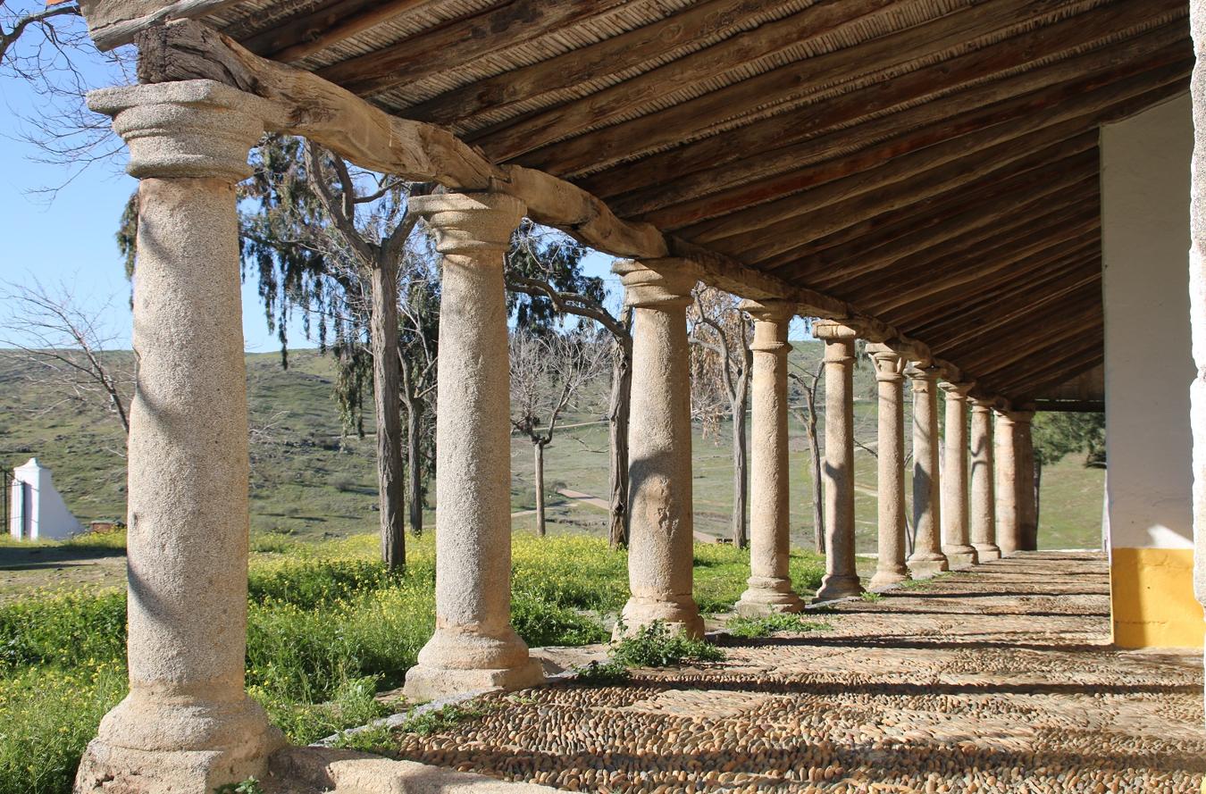 Restauración de los esgrafiados del camarín de la ermita de Campanario. 