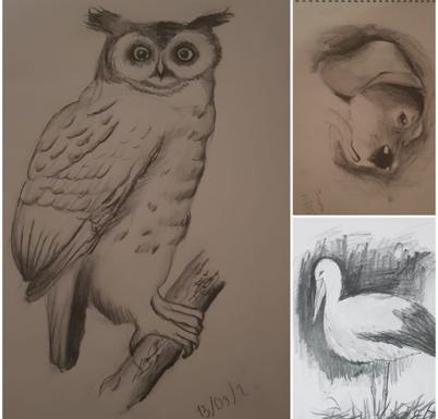 Algunos dibujos a carboncillo hechos por Jessica Trenado. 