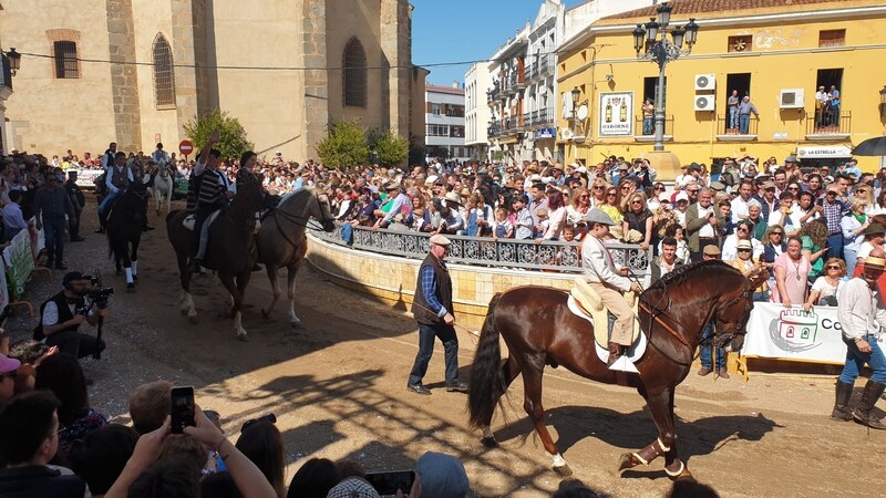 Desfile de caballos, jinetes y amazonas en la Plaza de España de Campanario.