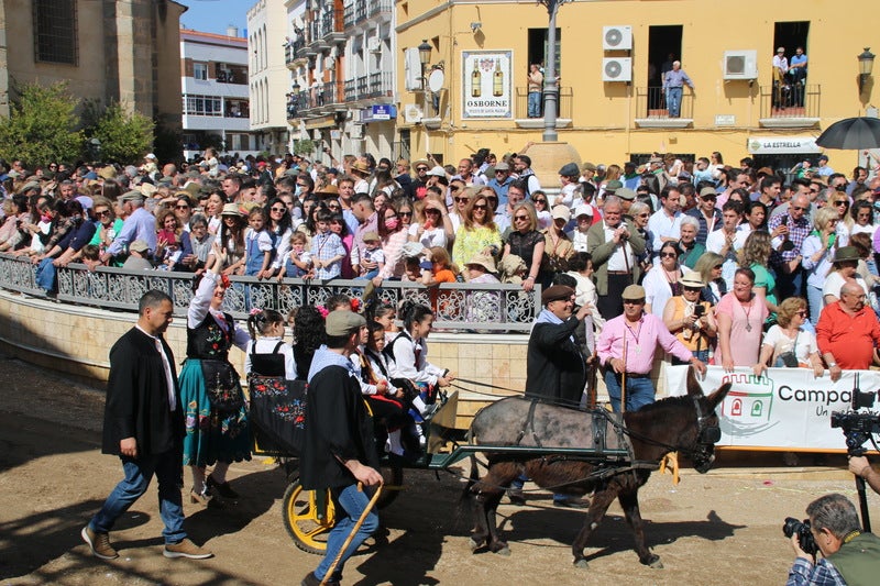 Desfile de caballos, jinetes y amazonas en la Plaza de España de Campanario.