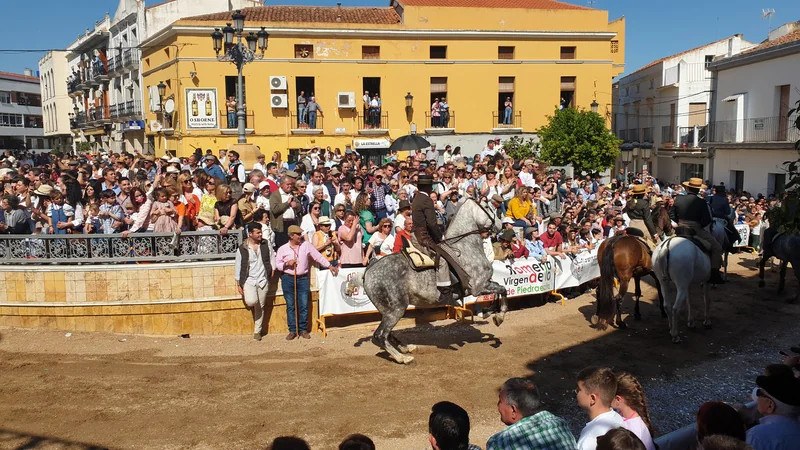 Desfile de caballos, jinetes y amazonas en la Plaza de España de Campanario.