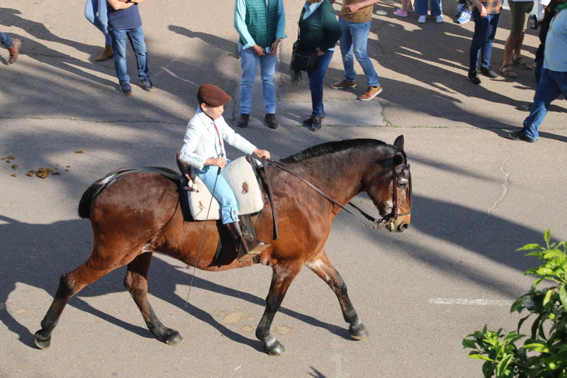 Desfile de caballos, jinetes y amazonas en la Plaza de España de Campanario.