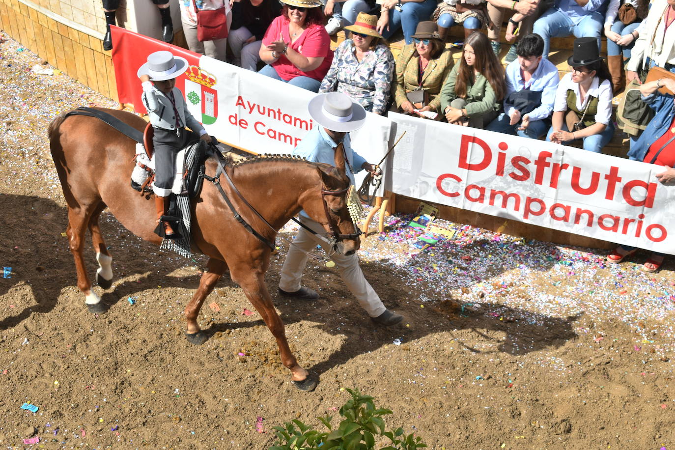 Fotos Desfile de carrozas y caballerías Romería de Piedraescrita 2023