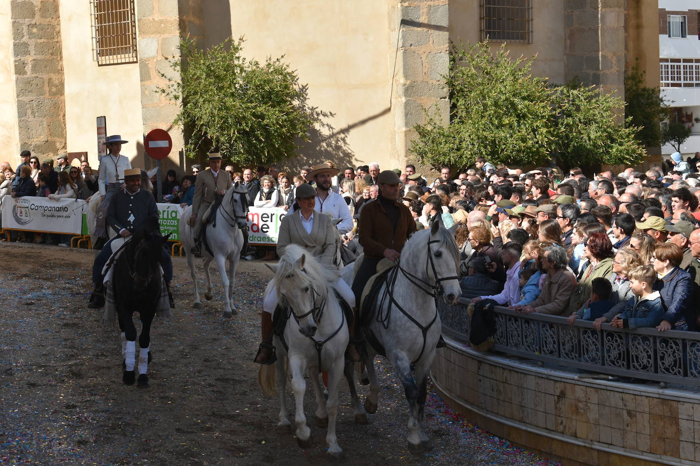 Fotos: Elegancia y porte en el desfile de caballerías de Piedraescrita