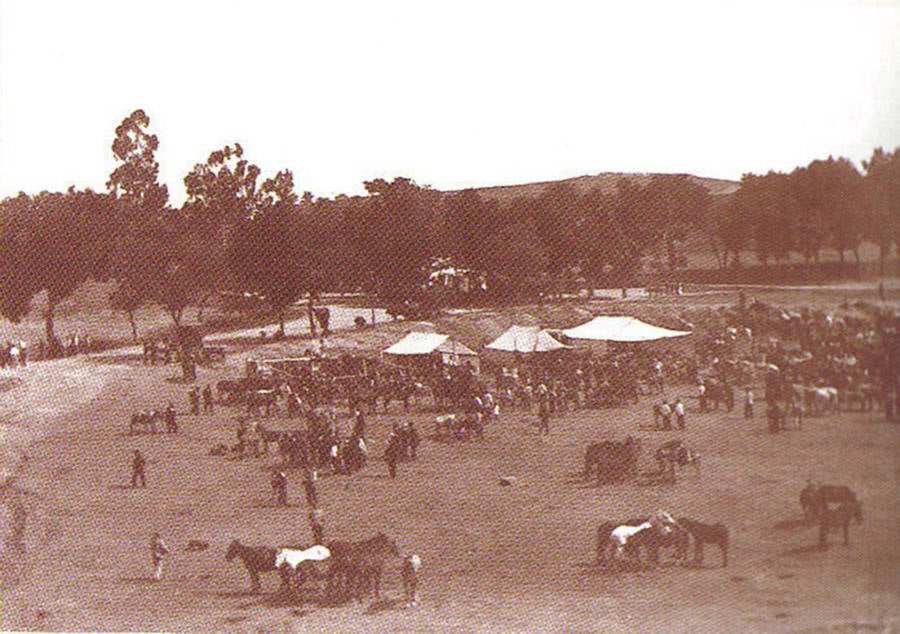La feria de febrero de Villanueva