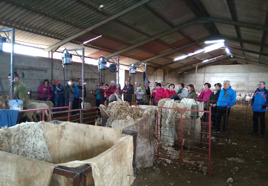 Vecinos leoneses visitan La Serena y Campanario en busca de la huella trashumante