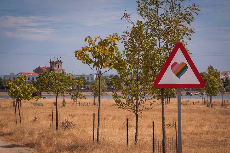 Imagen secundaria 1 - Algunas de las fotografías premiadas como 'Mejor conjunto'. 