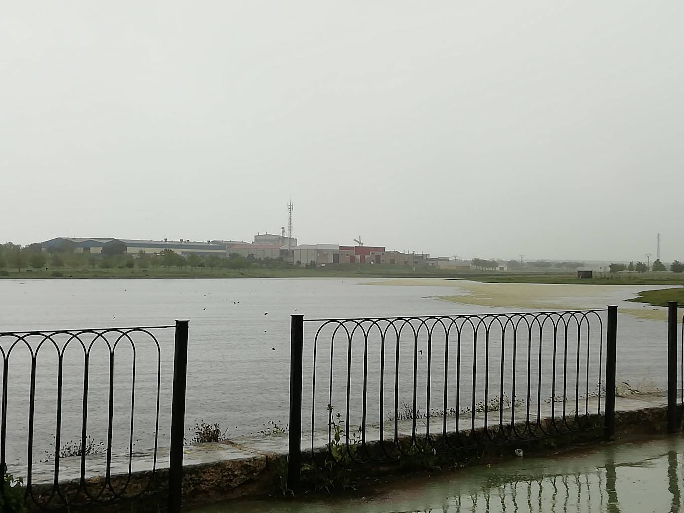 Las lluvias de los últimos días ha llenado La Charca. 