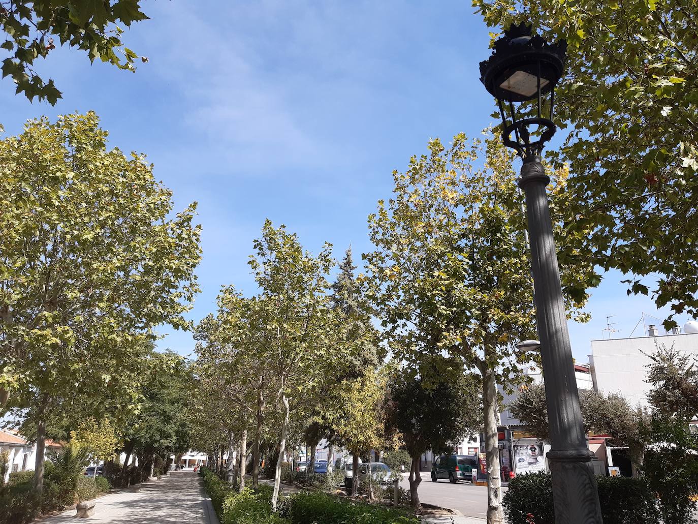 Las nuevas luminarias ya han sido instaladas en el Paseo de Extremadura. 