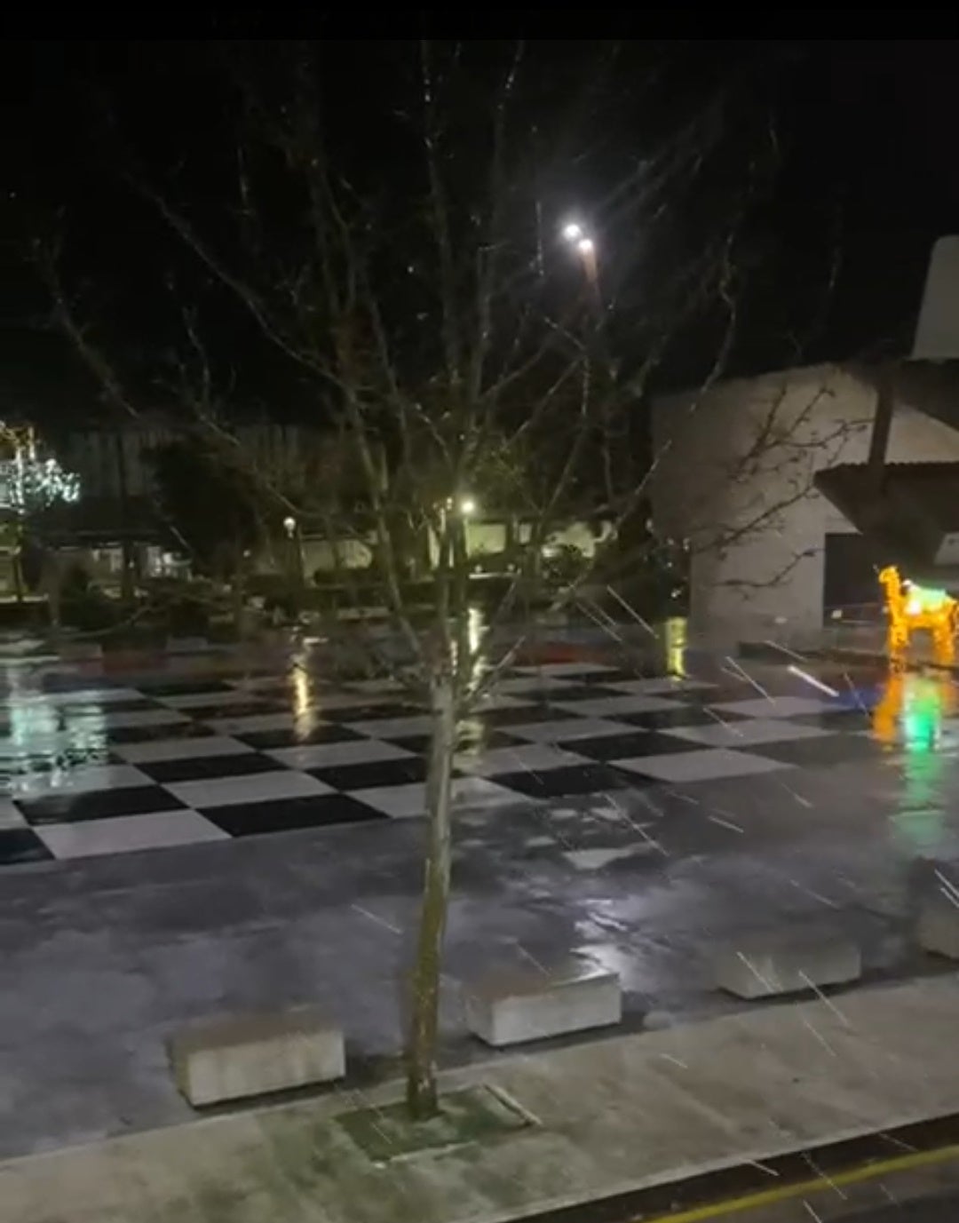 Copos cayendo ligeramente en la plaza de Sancho IV. 