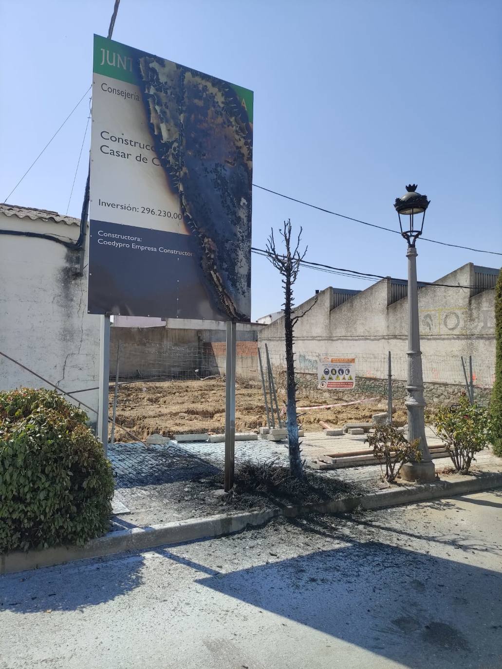 Estado en el que ha quedado el árbol y el cartel. 