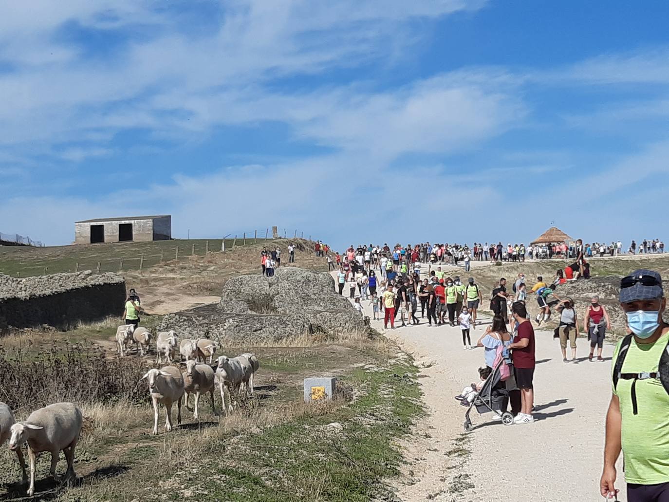 Imagen principal - Unas 1.500 personas y 200 ovejas, protagonistas hoy de la XV Ruta trashumante