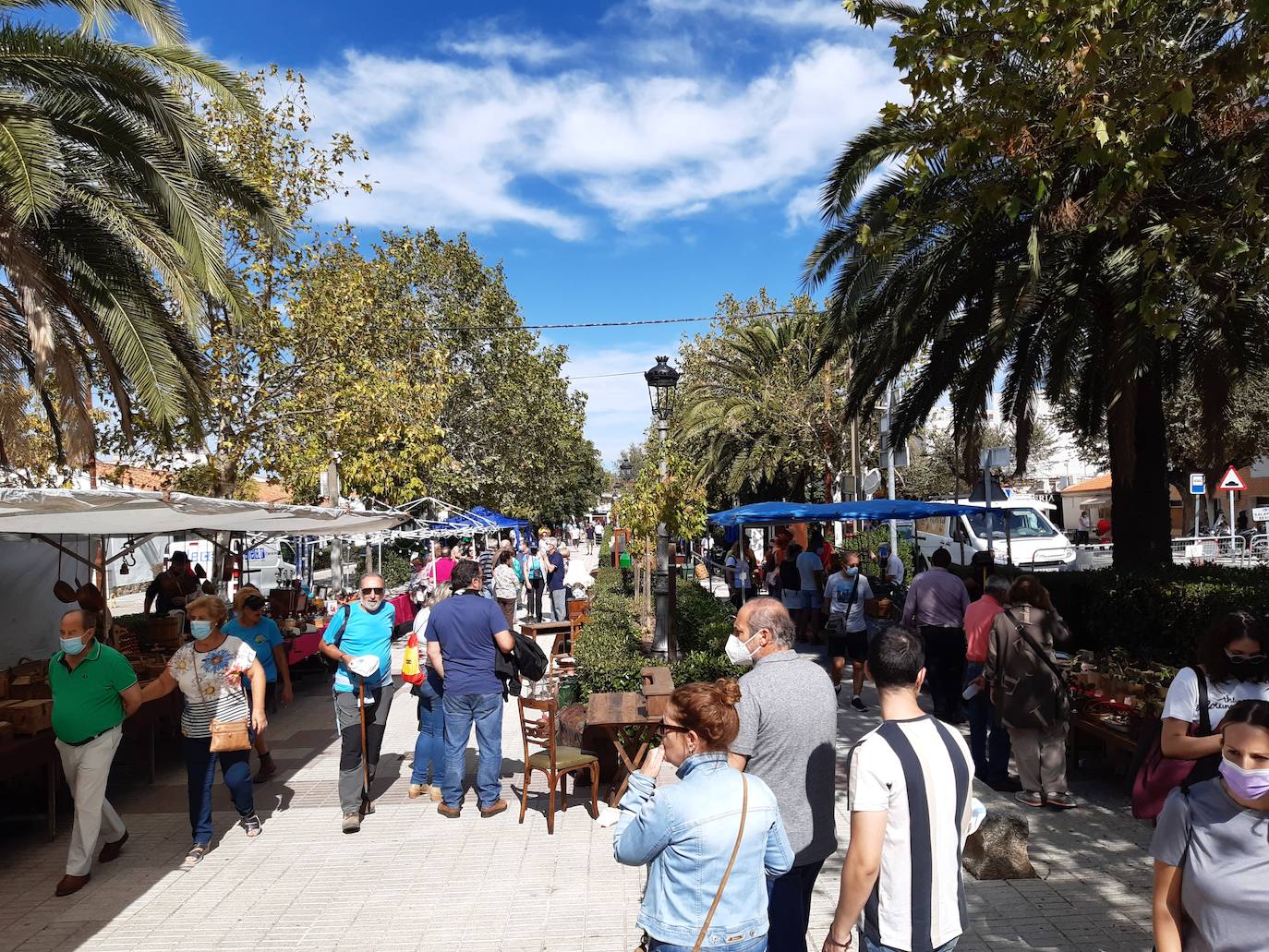 Imagen secundaria 2 - Unas 1.500 personas y 200 ovejas, protagonistas hoy de la XV Ruta trashumante