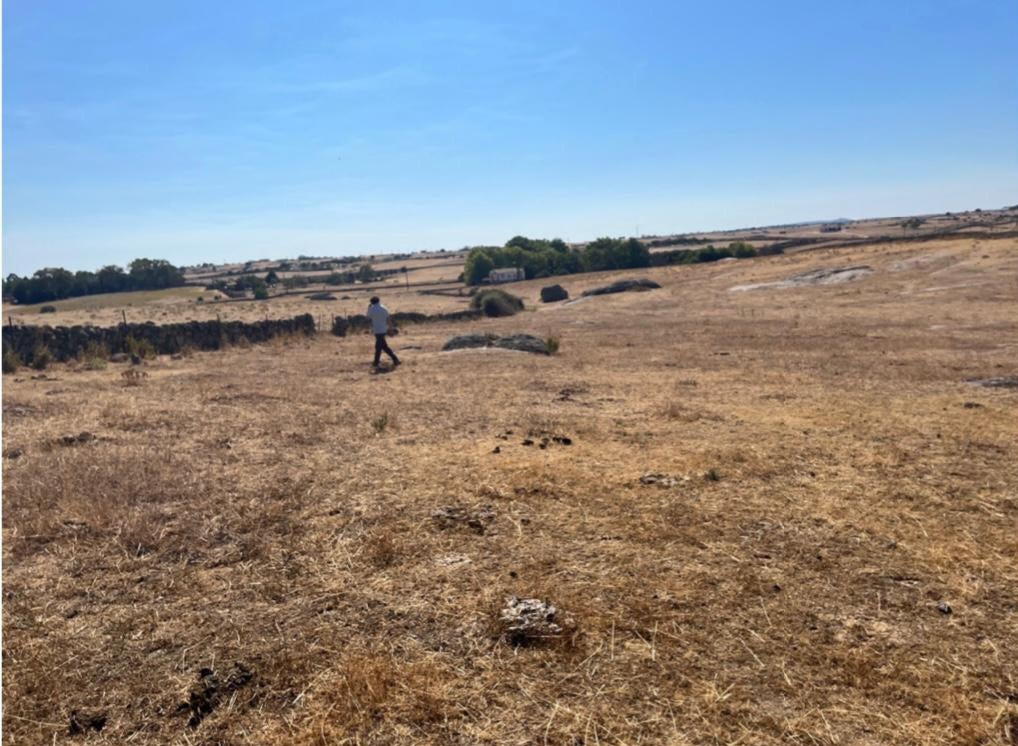 Terreno próximo a la N-630 en el que se pretende construir el parque acuático. 