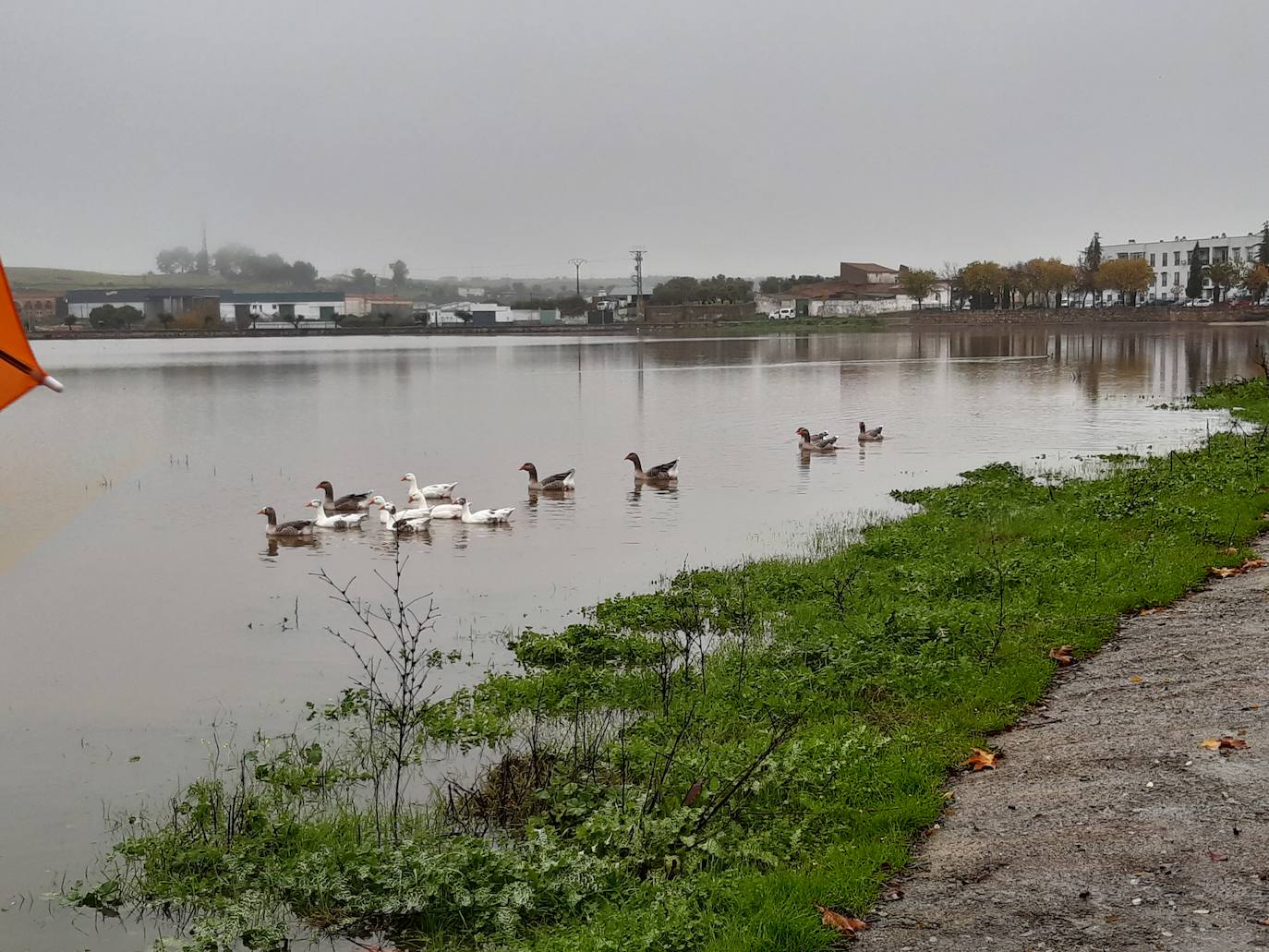 Las intensas lluvias de los últimos días cambian la estampa en La Charca
