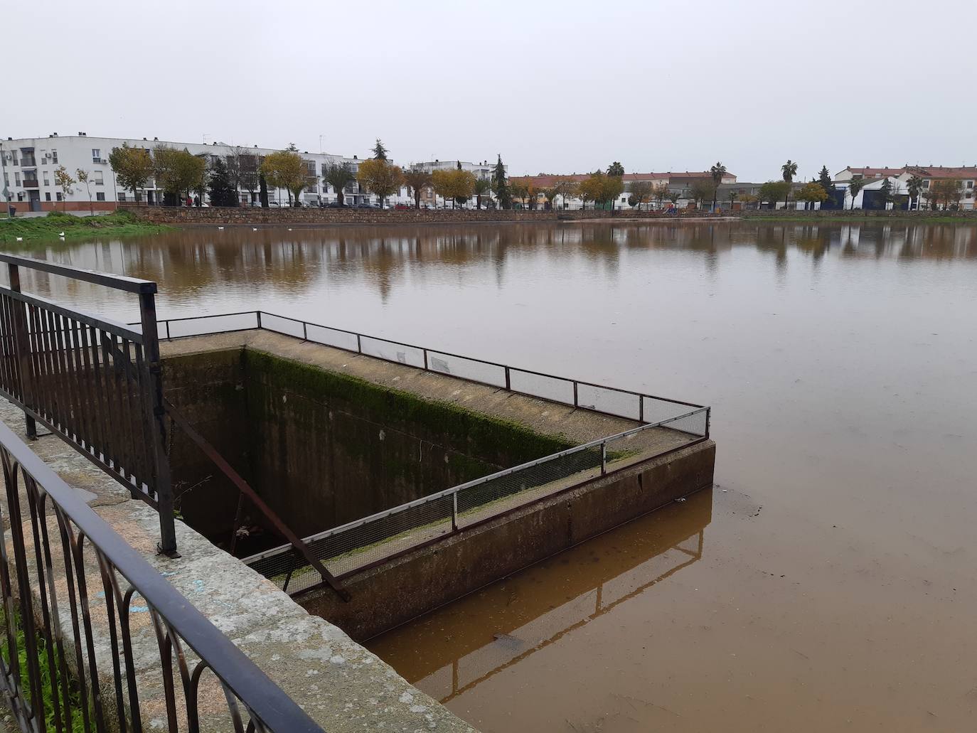 Imagen secundaria 2 - Las intensas lluvias de los últimos días cambian la estampa en La Charca
