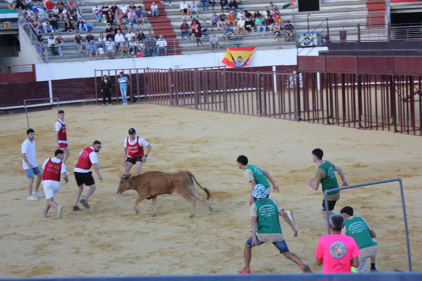Imagen secundaria 1 - Media plaza de toros abarrotada para disfrutar de los festejos populares