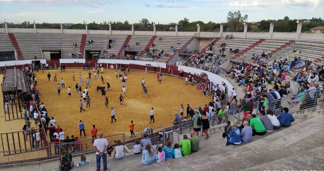 Las Fiestas del Ramo 2023 en imágenes