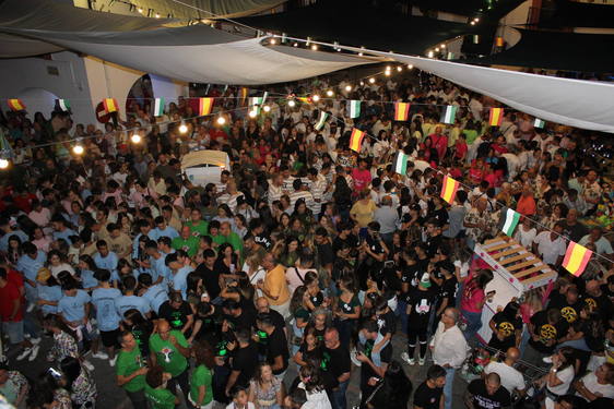 Las Fiestas del Ramo 2023 en imágenes