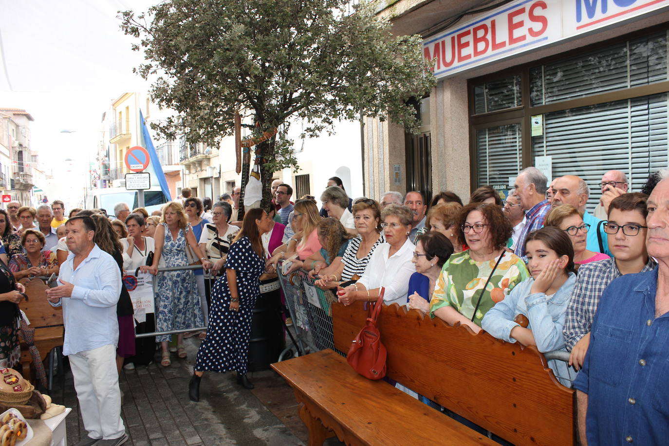 Las Fiestas del Ramo 2023 en imágenes