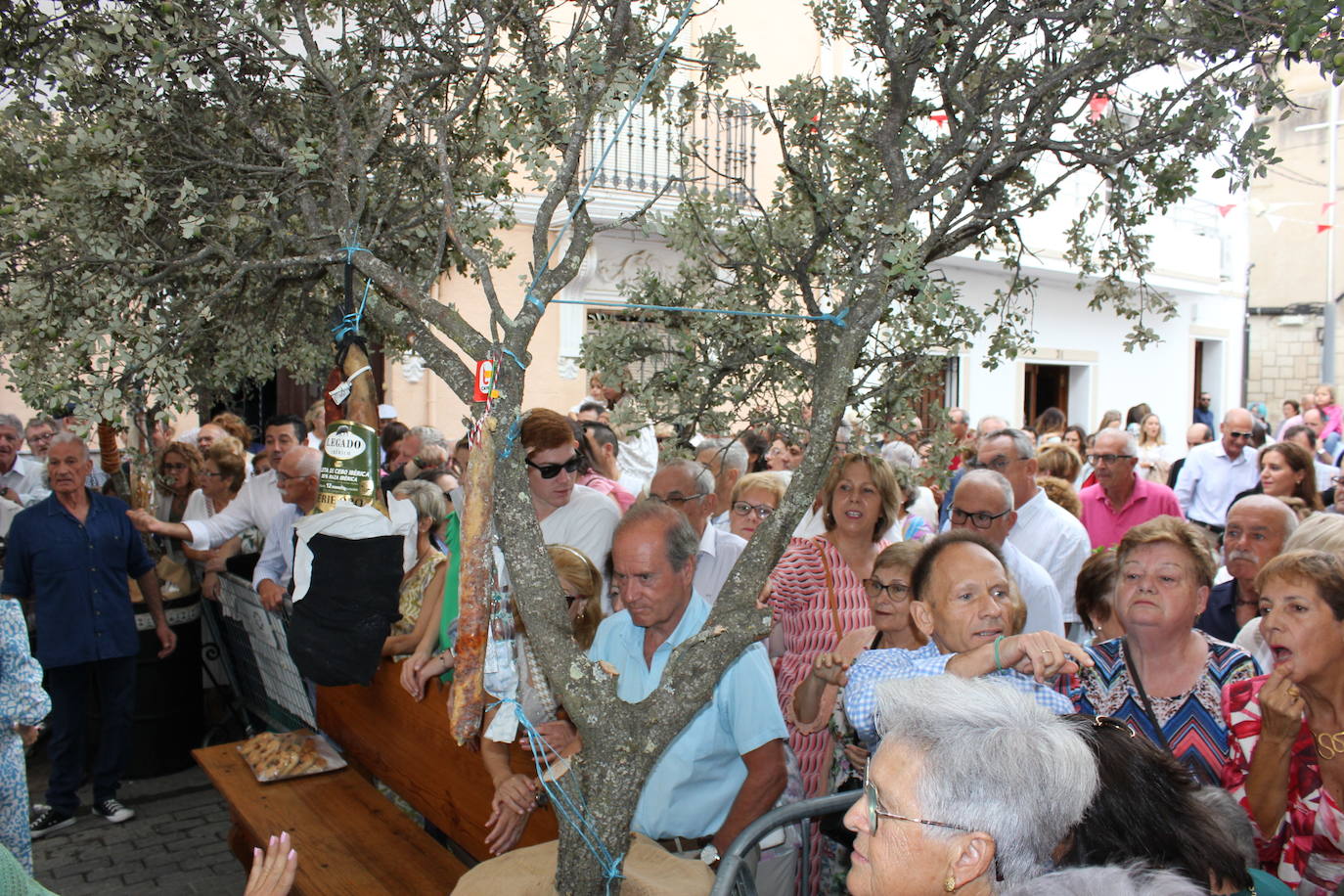 Las Fiestas del Ramo 2023 en imágenes