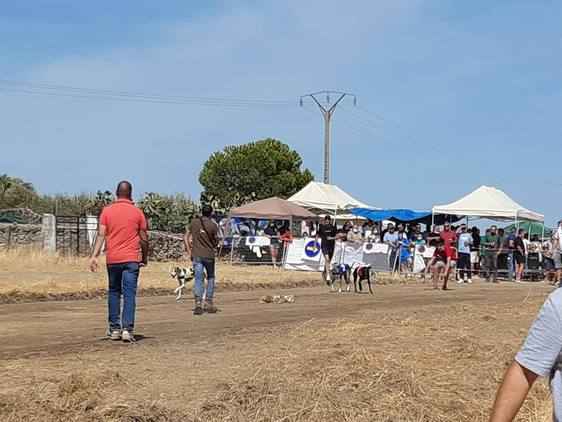 Nueva edición de la Carrera de galgos en la Portá Blanca