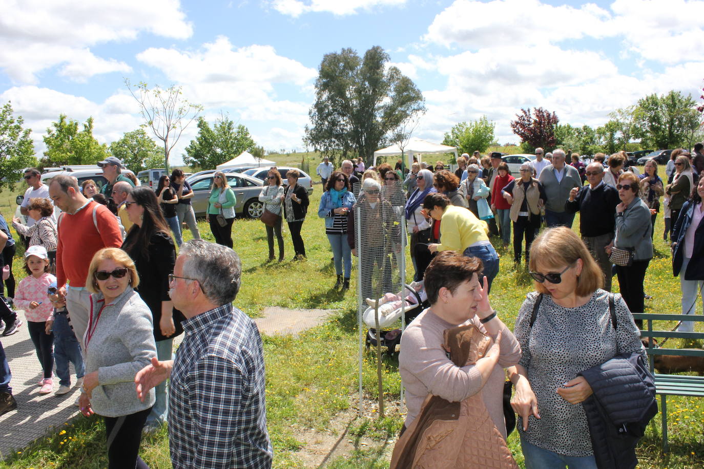 Imagen secundaria 1 - El sol resplandece para la romería de San Benito